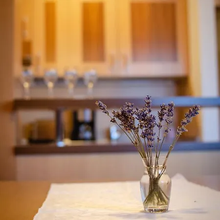 Apartment Luxury Prezin *