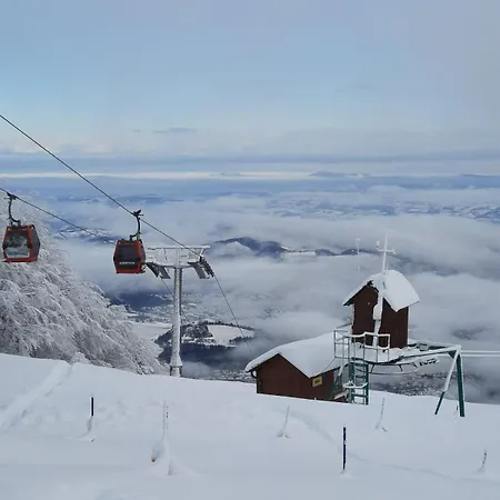 Luxury Prezin 아파트 *