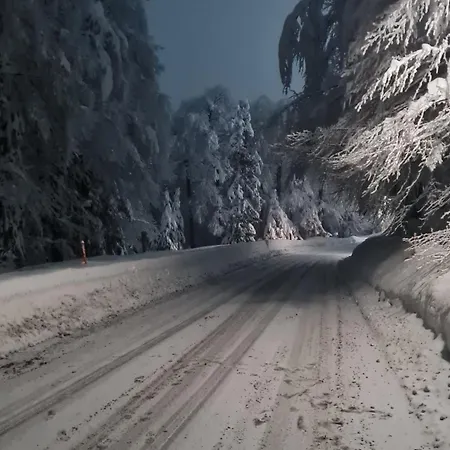 Luxury Prezin * 호코포호르예