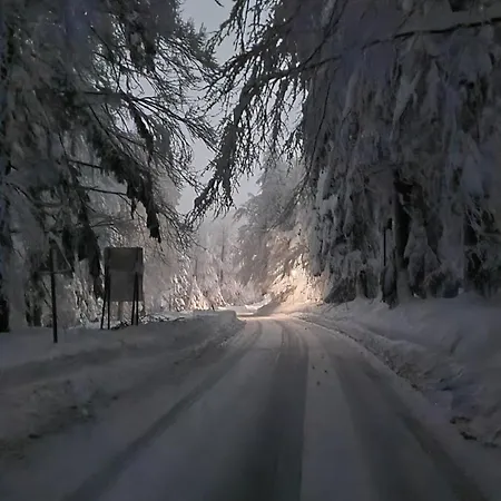 Luxury Prezin 아파트 *