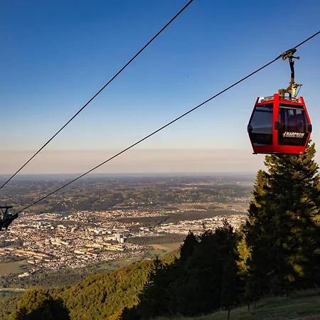 Luxury Prezin 호코포호르예