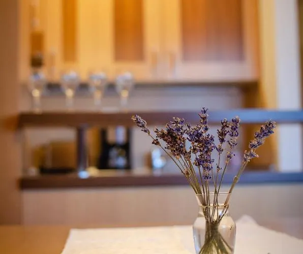 Apartment Luxury Prezin *