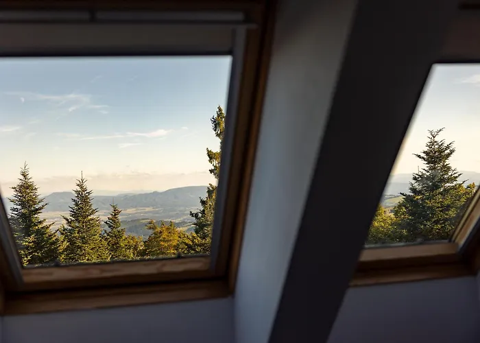 Apartment Luxury Prezin