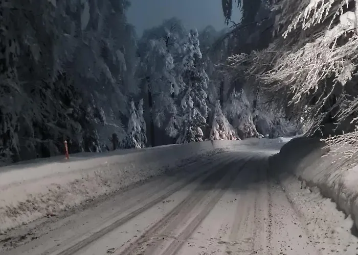 Luxury Prezin * Hočko Pohorje