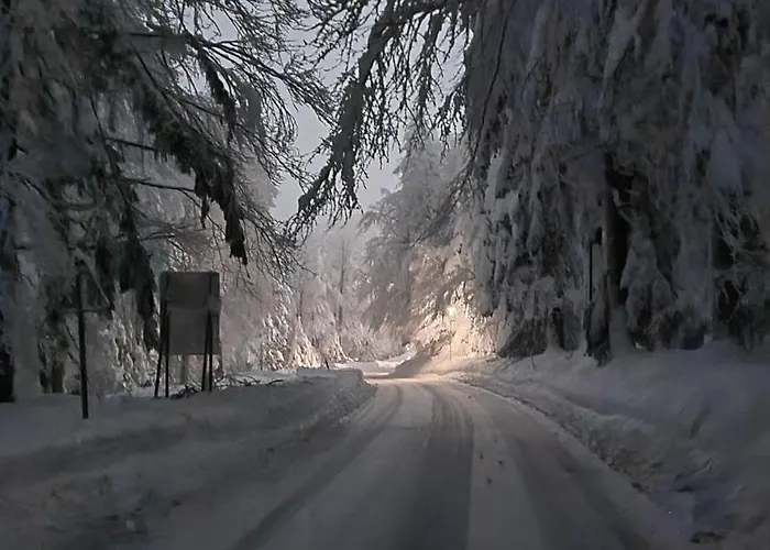 Luxury Prezin شقة *