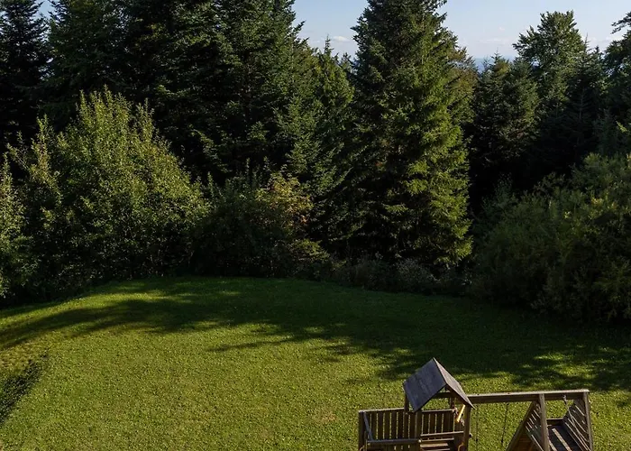 Luxury Prezin Apartment